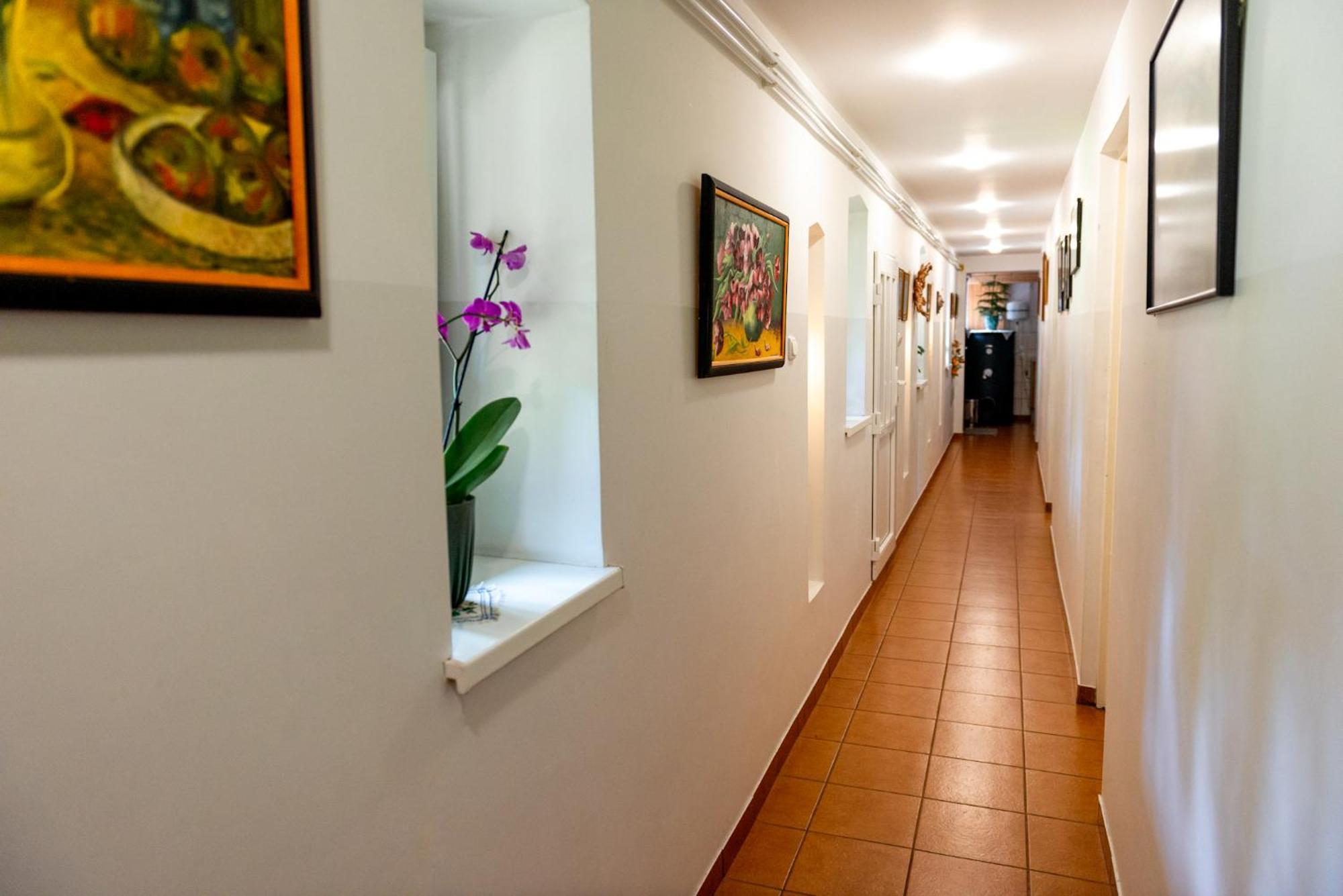 Agroturystyka Hanka I Jurek Boruja Ngoại thất bức ảnh